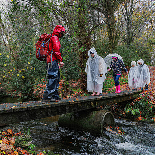 Primary School Workshops