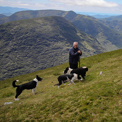 Kerry UNESCO Biosphere Reserve now active